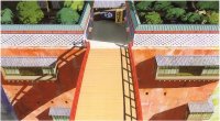 BUY NEW spirited away - 106288 Premium Anime Print Poster